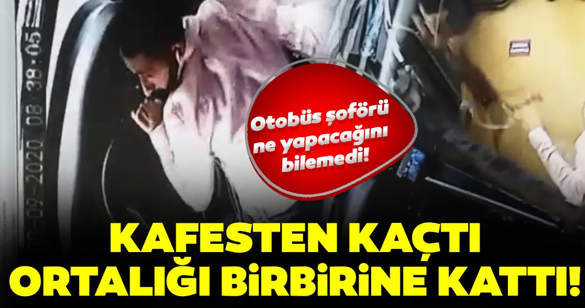 Özel halk otobüsünde kedi paniği! Kafesinden kaçtı aracı birbirine kattı