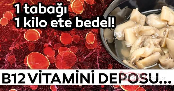 b12 vitamini eksikligi neden olur iste