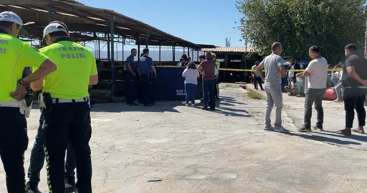 Aydın süt kamyonu kazası: Tragic accident claims 3-year-old's life Aydın süt kamyonu kazası: Tragic accident claims 3-year-old's life