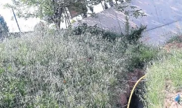 Fabrika arazisine uyuşturucu baskını