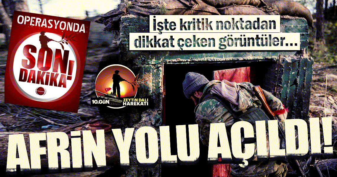 burseya dagi ele gecirildi iste zeytin