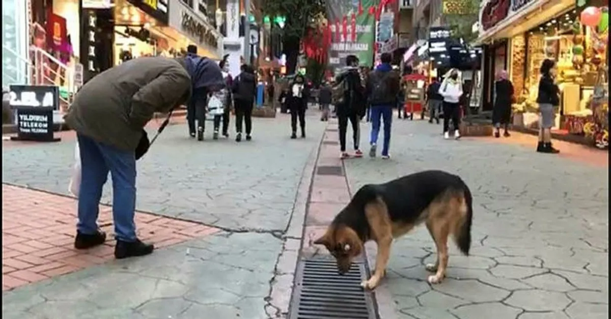 İzmit'te ilginç olay! Her gün aynı saatte gelerek saatlerce oraya bakıyor…  - Sabah - Haber Ofisi