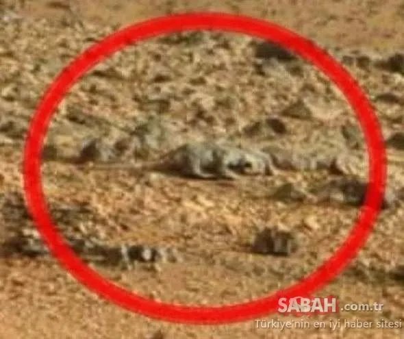 Mars'tan gelen fotoğraflar kan dondurdu! Dünyayı şaşkına çevirdi!
