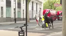 Süvari atları Londra’yı birbirine kattı! Yaralılar var