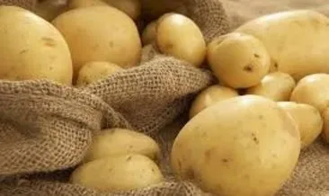 Son Dakika: Yerli patates çıktı, fiyatlar düştü