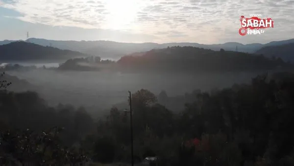 Sonbaharda sis manzarasıyla sabah güneşi havadan görüntülendi