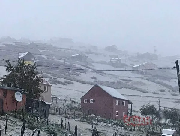 Rize, Ordu ve Giresun'un yaylaları beyaza büründü! İşte büyüleyen kareler...