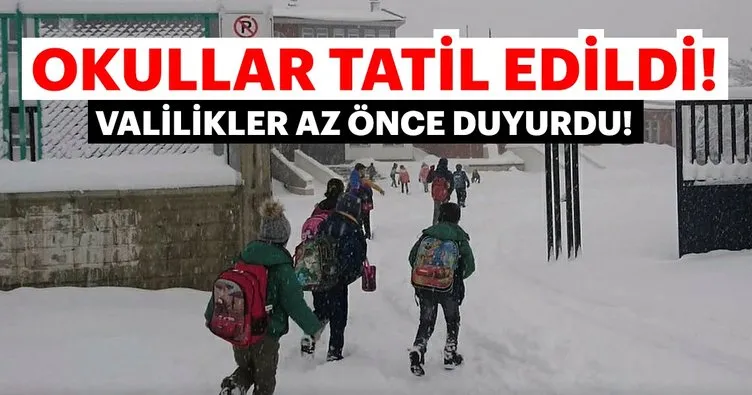 Son dakika: Yoğun kar nedeniyle okullar tatil edildi! İşte okulların tatil olduğu il ve ilçeler