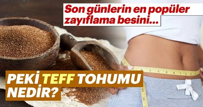 teff tohumu nedir teff tohumu cayi