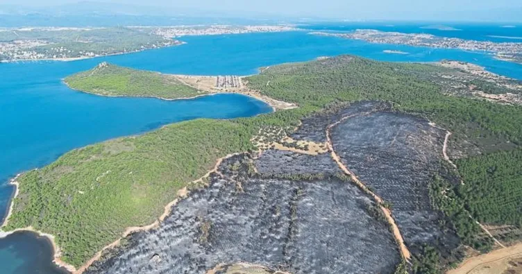 Haluk Levent’ten fidan kampanyası