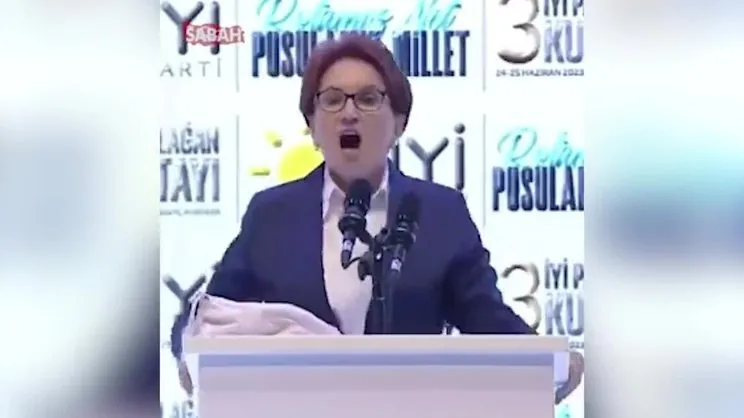 Meral Akşener: