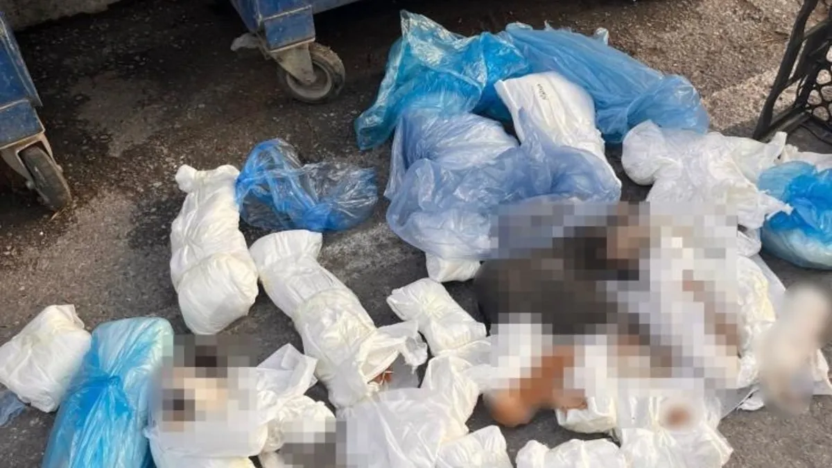 Savcılık itirazı kabul edildi! Veteriner ikinci kez gözaltına alındı Savcılık itirazı kabul edildi! Veteriner ikinci kez gözaltına alındı