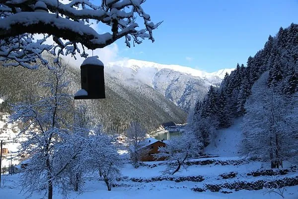 Doğu Karadeniz'in seyir teraslarında manzara keyfi