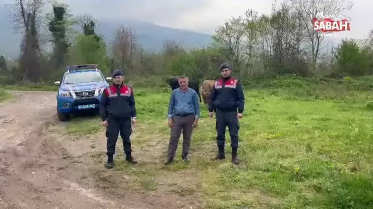 Denetimine takıldığı jandarma, hayvanlarını buldu | Video