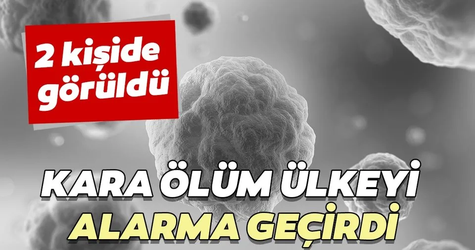 cin de iki kiside veba goruldu sayfa 2 saglik haberleri