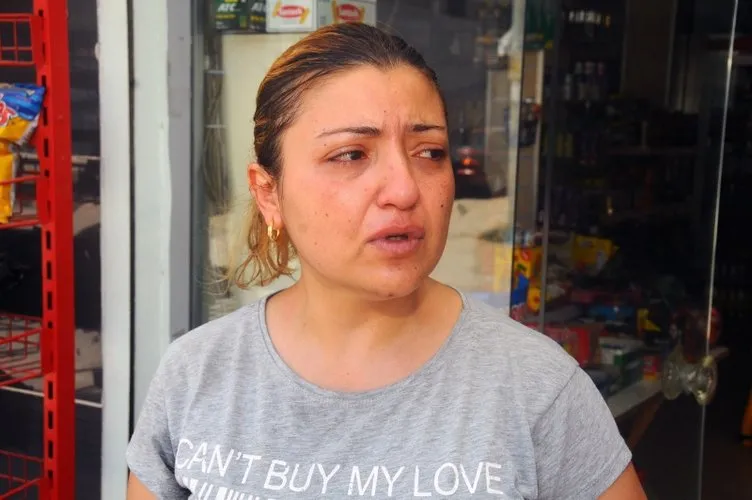 Son dakika haberi Hamile kediyi Pitbull�un ağzına attı! Son Dakika