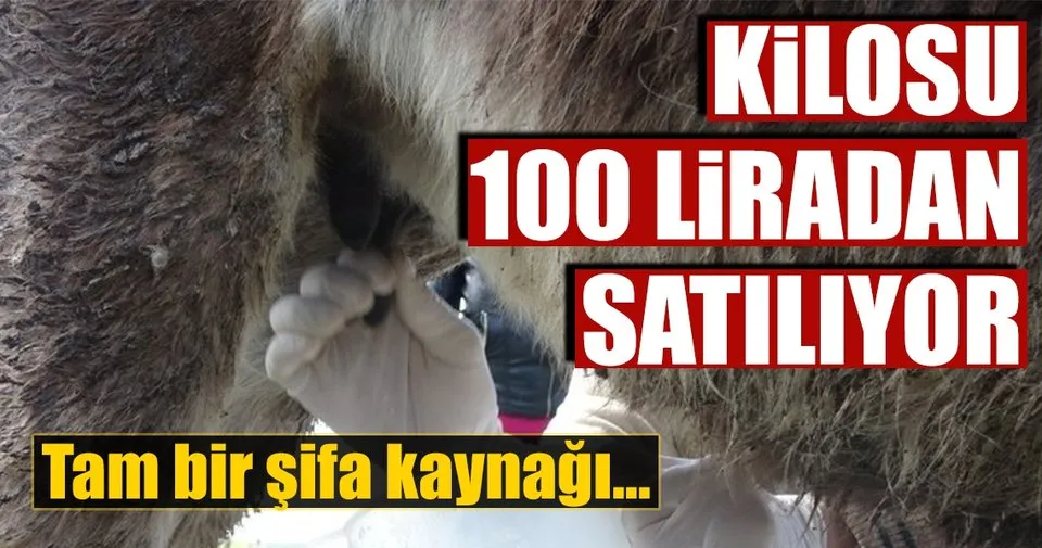 Litresi 100 Liraya Esek Sutu Ekonomi Haberleri