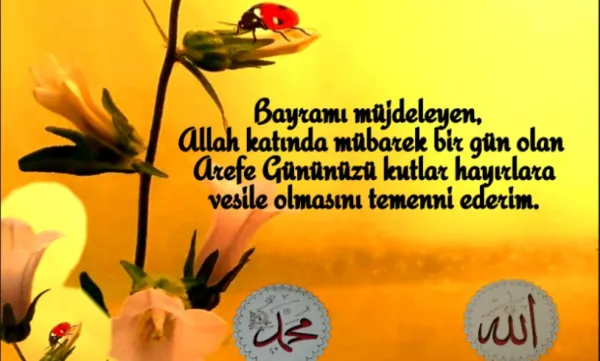 En güzel arife günü mesajları ile Ramazana veda ediliyor! AREFE GÜNÜ MESAJLARI VE SÖZLERİ 2022