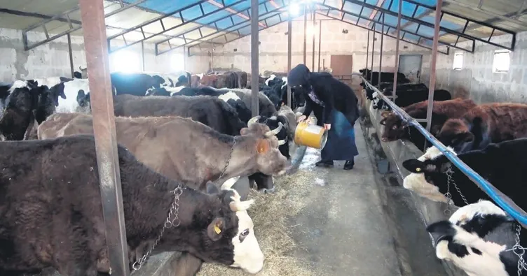 Hatıce hanımın büyük azmı