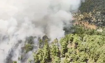 Antalya Akseki’de orman yangını!