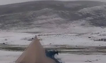 Erzincan yaylalarında dolu yağışı kar gibi araziyi beyaza bürüdü #erzincan