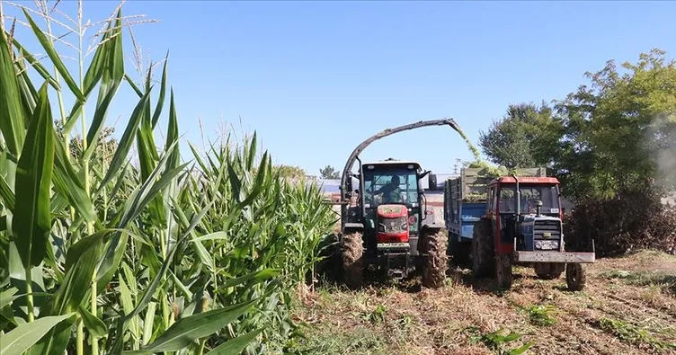 Çiftçilere 284 milyon liralık destek