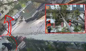 Avcılar’da dehşet anları kamerada! Dev ağacın altında kalmaktan son anda böyle kurtuldu