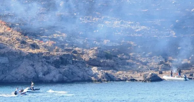 Bodrum Da Buyuk Ada Da Cikan Yangin Sonduruldu En Son Haber