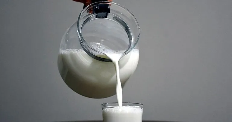 sut ve sarimsak kuru her derde deva galeri saglik
