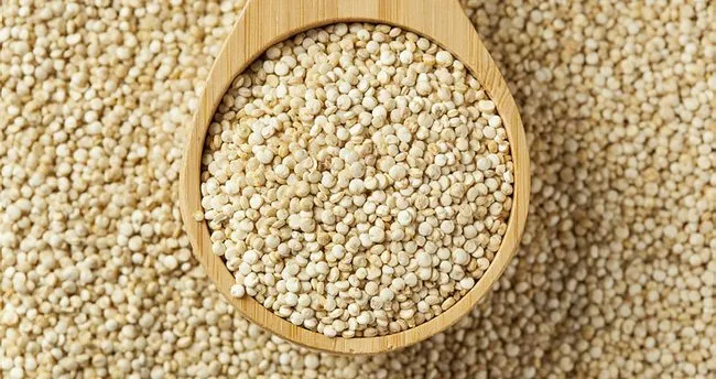 Kinoa nedir? Kinoa nasıl tüketilir, faydaları ve besin değerleri nelerdir?