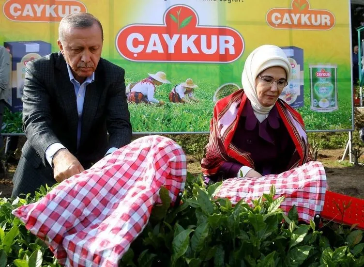 Renkli anlarıyla Cumhurbaşkanı Erdoğan fotoğrafları