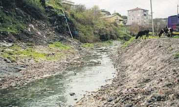 Karadeniz böyle kirletiliyor