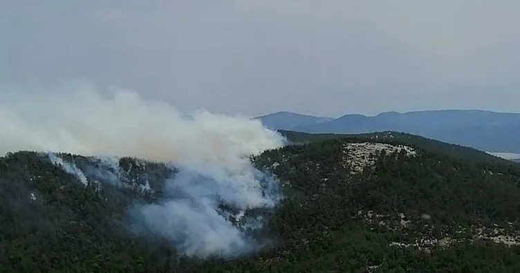Son dakika: Muğla’da korkutan orman yangını