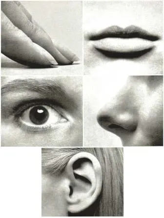 Doğru bildiğimiz yanlışlar - Son Dakika Haberler