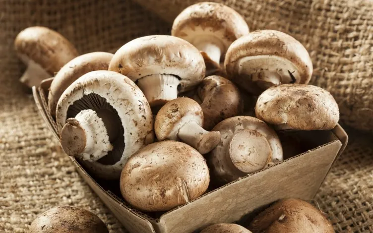 Yağ yakmak istiyorsanız aç karnına her sabah…