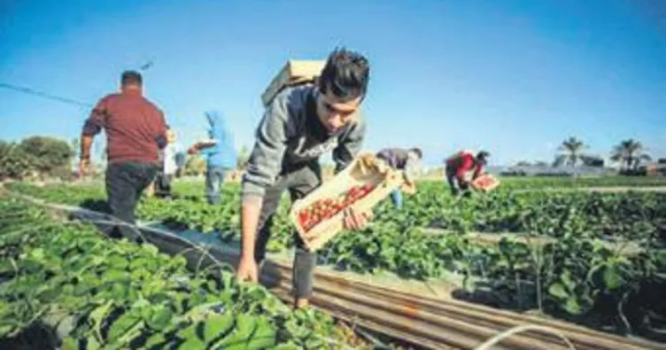 Norveç’ten ‘Batı Şeria etiketi’ çıkışı