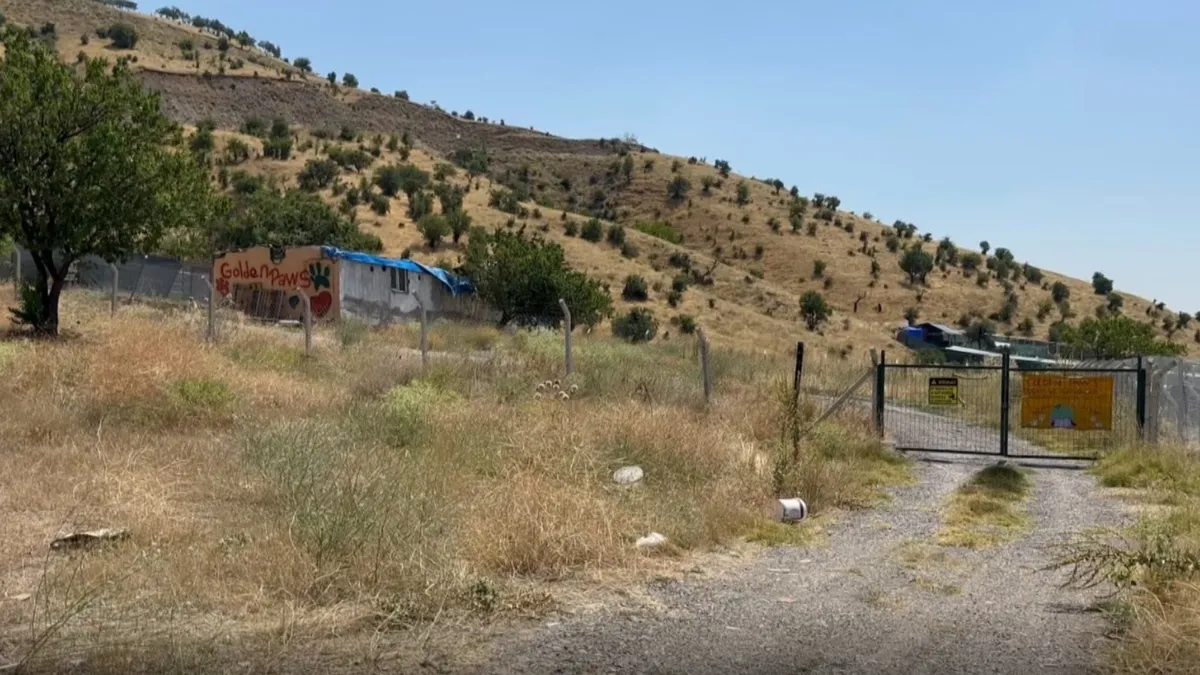 Ankara’da cesedi bulunmuştu: Gülay Akgün cinayetinde 5 gözaltı! Ankara’da cesedi bulunmuştu: Gülay Akgün cinayetinde 5 gözaltı!