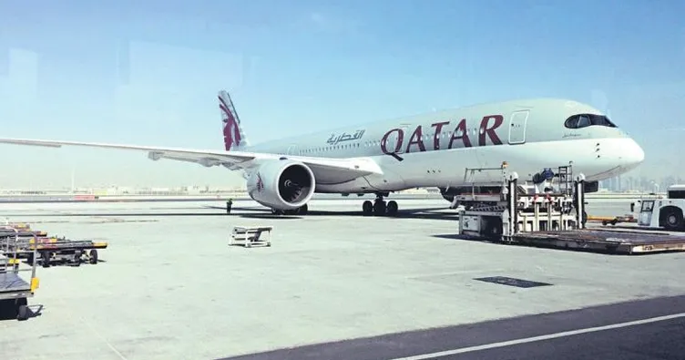 60 uçakla 4 bin inek