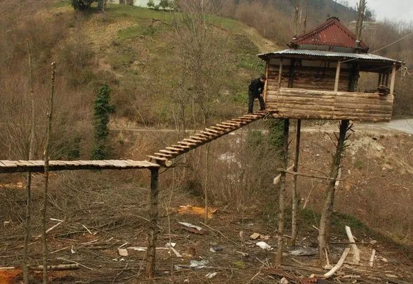 Ağacın üzerine ev yaptı
