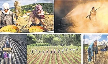 Kadın çiftçiye pozitif ayrımcılık