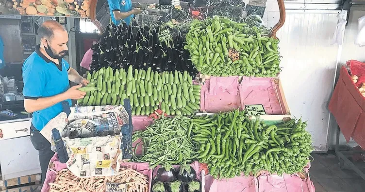 Yaş sebze meyve ihracatı arttı