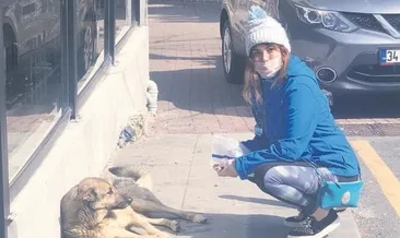 Köpekleri beslemek için çıktı