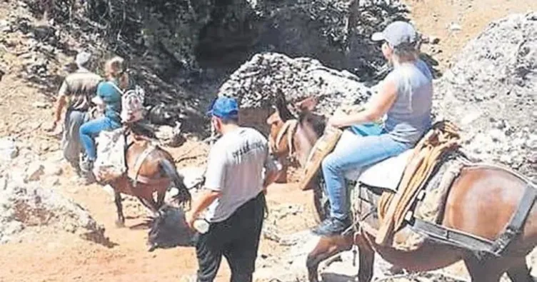 Mühendisler at sırtında görev yapıyor