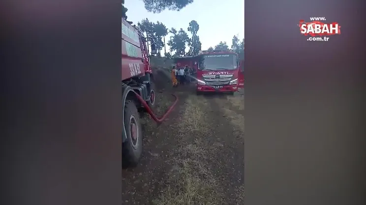Tarsus’ta ormanlık alanda çıkan yangın söndürüldü