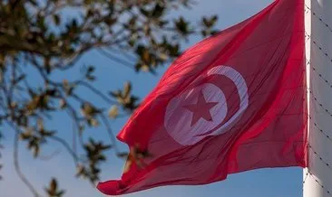 Tunuslu düşünür İslam dünyasını Türkiye’nin yanında olmaya çağırıyor