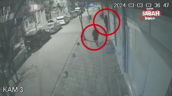 Siirt’te iş yeri ve bir kurumdan hırsızlık yapan 2 şahıs kamerada | Video