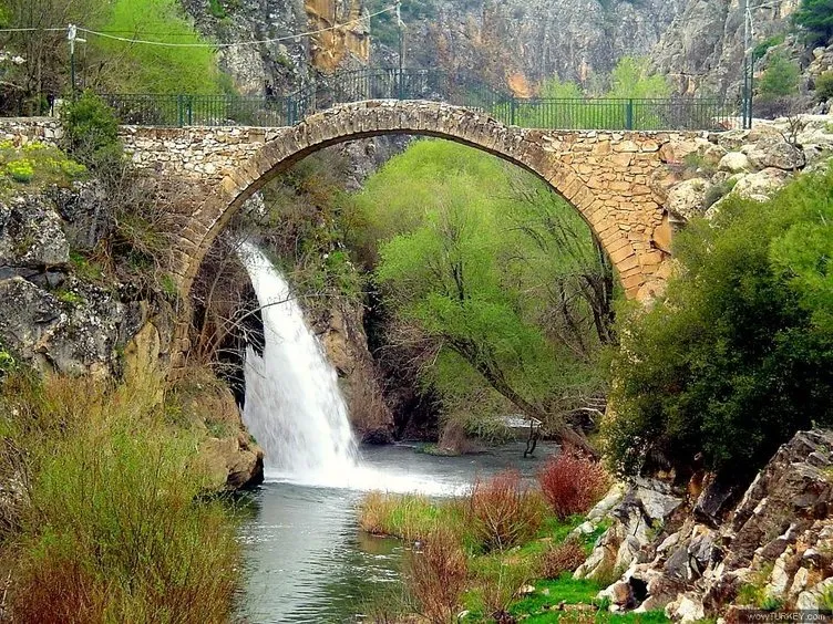 Türkiye'nin en sağlıklı şehri açıklandı! Zirvedeki sürpriz il herkesi şaşırttı...