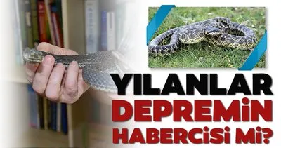 yilanlarin deprem habercisi olduguna