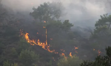 Yunanistan’da bu kez Rodos Adası alev aldı