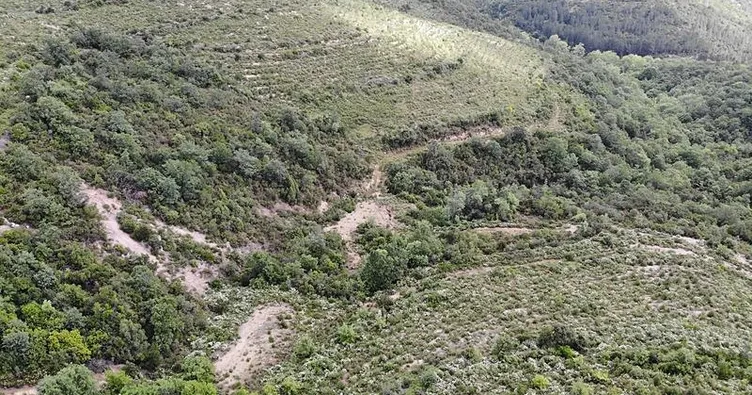 DNA örnekleri Adli Tıp’ta